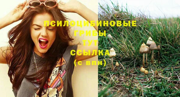 твердый Волоколамск